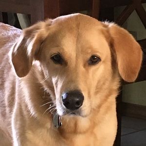 Meet your Posher, Krissy